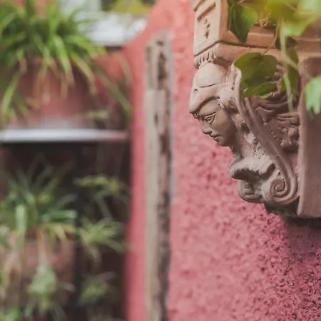 Zacharoulas Katikies אמרינתוס