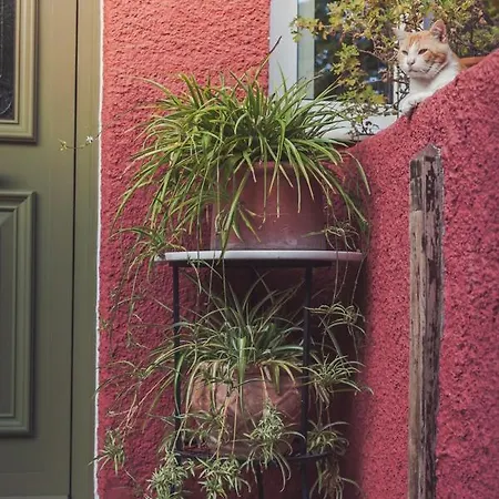 Zacharoulas Katikies Holiday home *