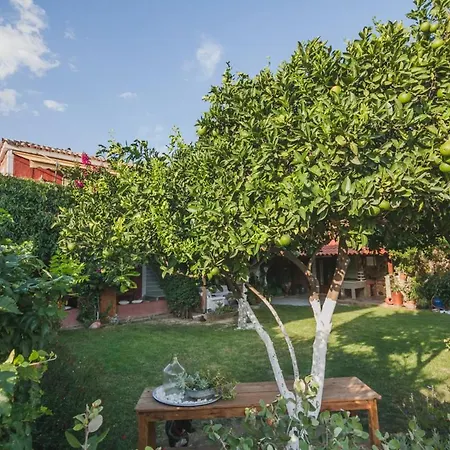 Holiday home Zacharoulas Katikies Amarynthos