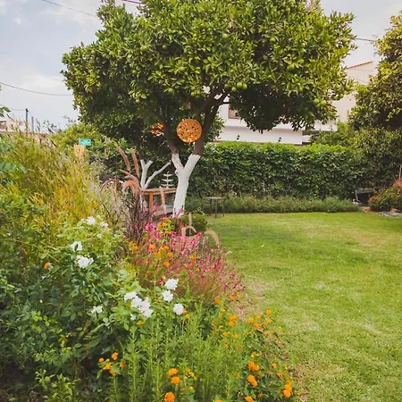 Zacharoulas Katikies *