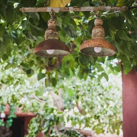 Zacharoulas Katikies בית נופש אמרינתוס