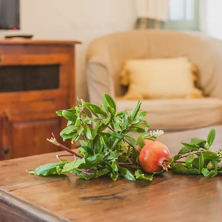 Zacharoulas Katikies *