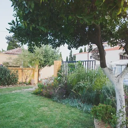 Zacharoulas Katikies * Amarynthos