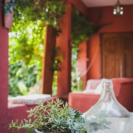 Zacharoulas Katikies * Amarynthos