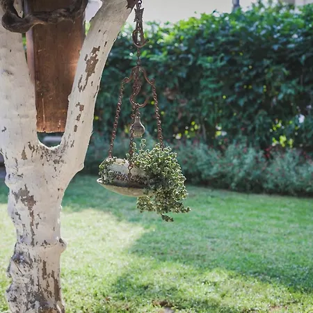 Zacharoulas Katikies בית נופש