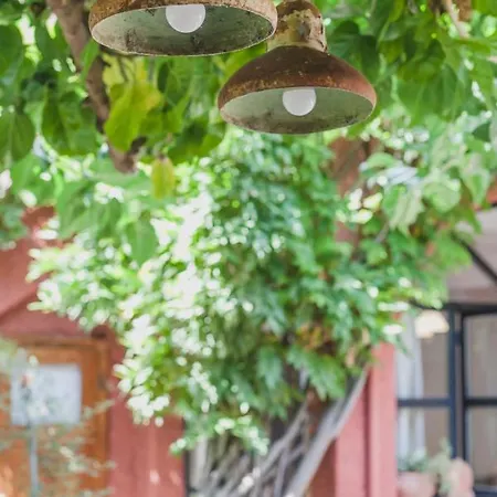 Zacharoulas Katikies