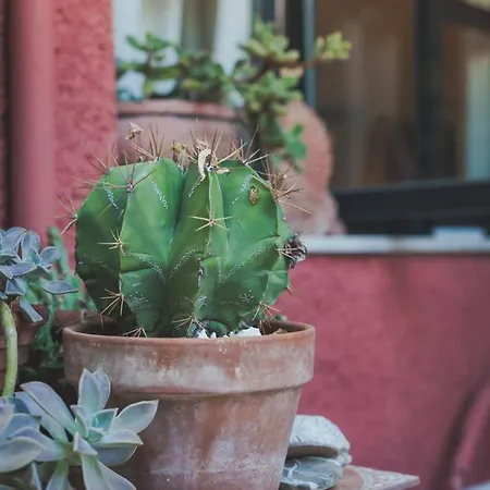 Zacharoulas Katikies