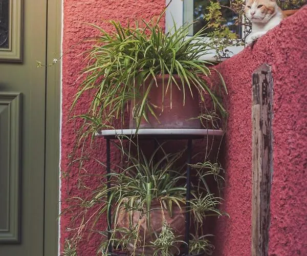 Zacharoulas Katikies Hébergement de vacances *