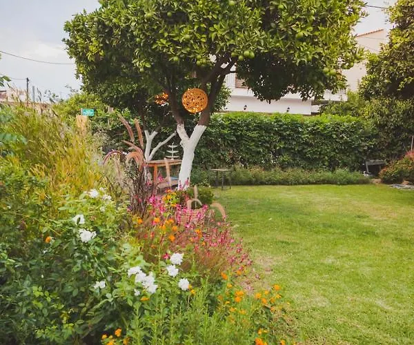 Zacharoulas Katikies *