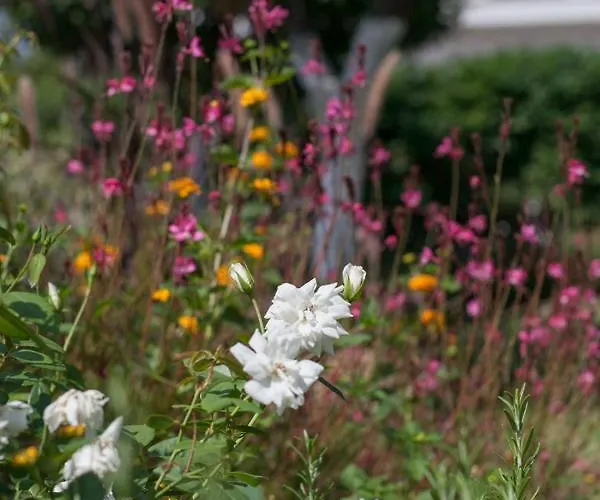 Zacharoulas Katikies * Amarynthos