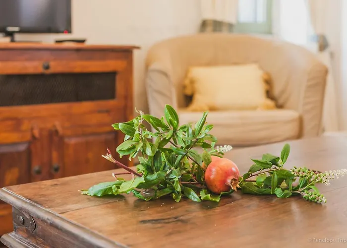 Zacharoulas Katikies *