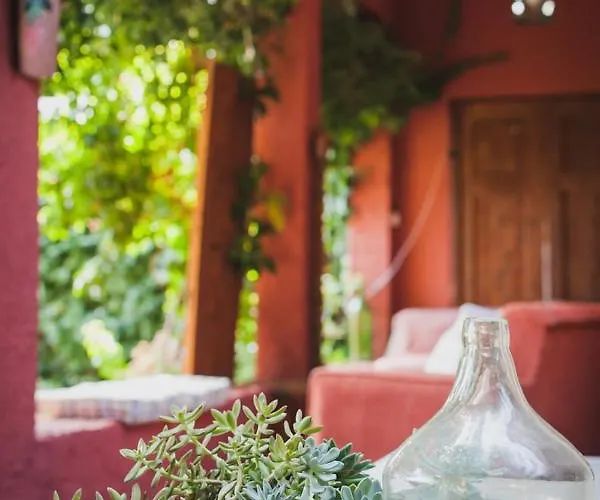 Zacharoulas Katikies * Amarynthos