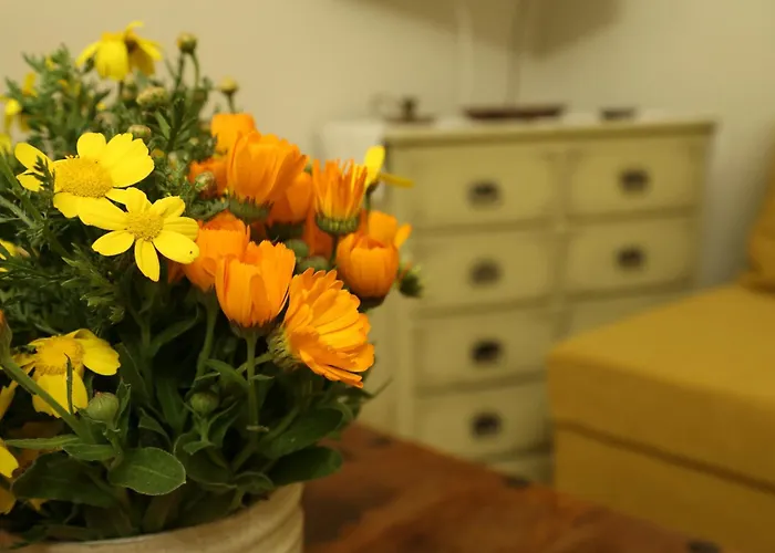 Zacharoulas Katikies *